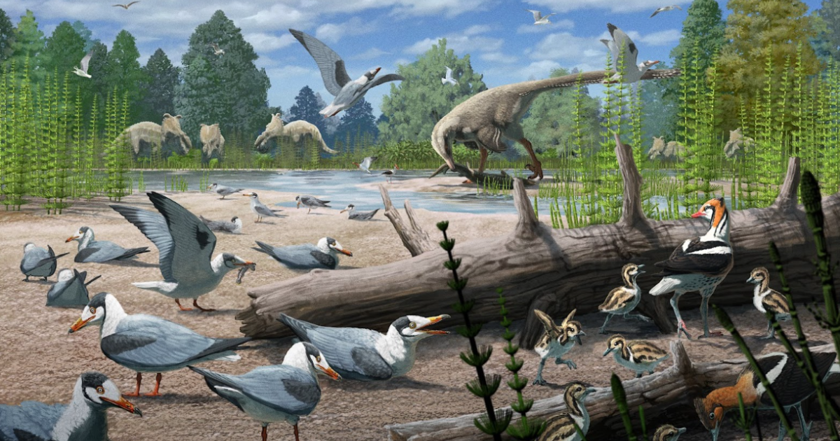 Illustration: dinosaurs and birds.